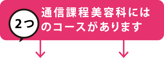 通信課程には2つのコースがあります