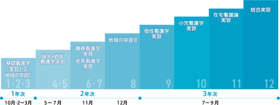 全12回の臨地実習で、段階を経て全領域にわたる 看護の実践力を学びます。