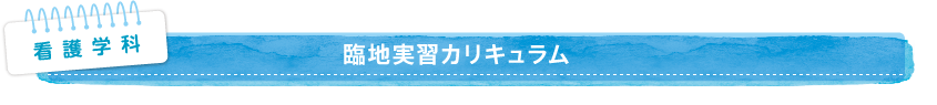 臨地実習カリキュラム